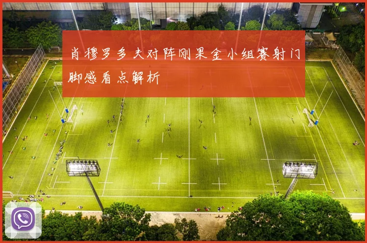 肖穆罗多夫对阵刚果金小组赛射门脚感看点解析