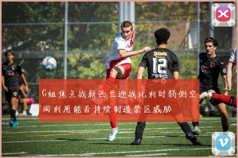 G组焦点战新西兰迎战比利时弱侧空间利用能否持续制造禁区威胁