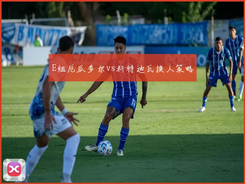 E组厄瓜多尔vs科特迪瓦换人策略